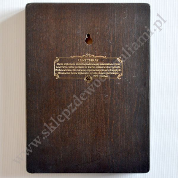 DOBRY PASTERZ - ikona 17 x 23 cm - 3049-E