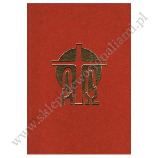 MSZAŁ NA MIEJSCE PRZEWODNICZENIA - CZĘŚĆ 2