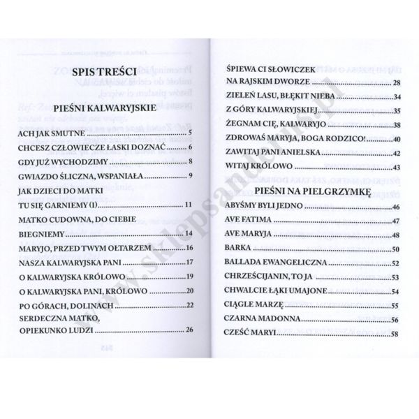 ŚPIEWNIK NA PIELGRZYMKĘ