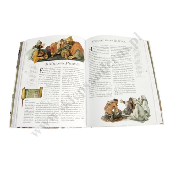 ILUSTROWANA BIBLIA RODZINNA - OBWOLUTA KOMUNIJNA