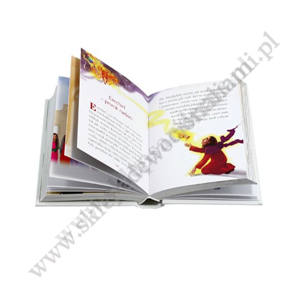 BIBLIA. ŚWIĘTA HISTORIA DLA NASZYCH DZIECI