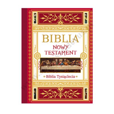 BIBLIA. NOWY TESTAMENT W ETUI