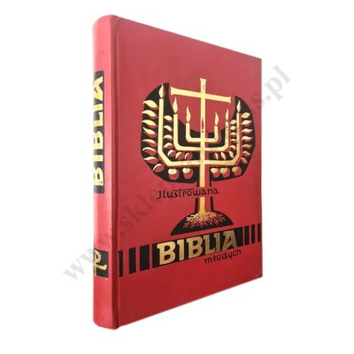 ILUSTROWANA BIBLIA MŁODYCH