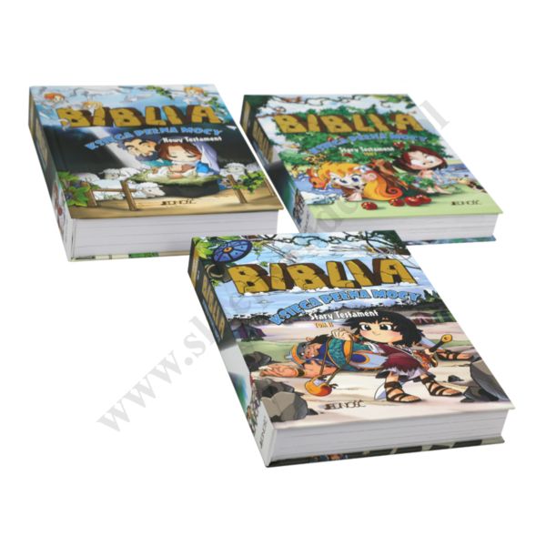 BIBLIA. KSIĘGA PEŁNA MOCY. STARY I NOWY TESTAMENT