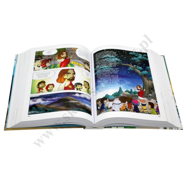 BIBLIA. KSIĘGA PEŁNA MOCY. STARY I NOWY TESTAMENT