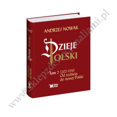 DZIEJE POLSKI - TOM 2 - 1202-1340 OD ROZBICIA DO NOWEJ POLSKI