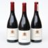 GRENACHE GENERATION 1905 - wino czerwone półwytrawne