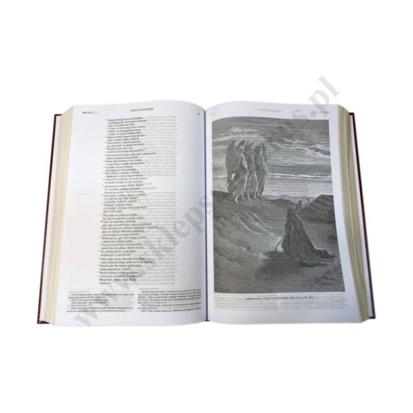 PISMO ŚWIĘTE - BIBLIA RODZINNA