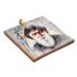 ŚW. CHARBEL - obrazek na ceramice 15 x 15 cm - 45780