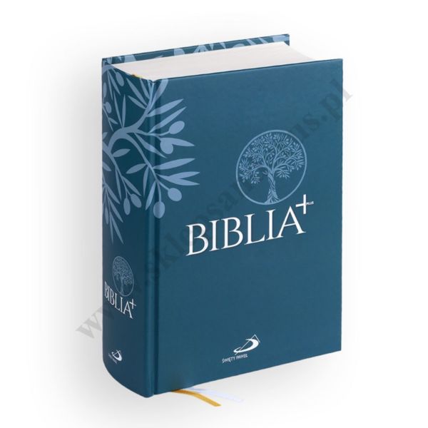 BIBLIA PLUS - Pismo Święte czytane metodą skrutacji