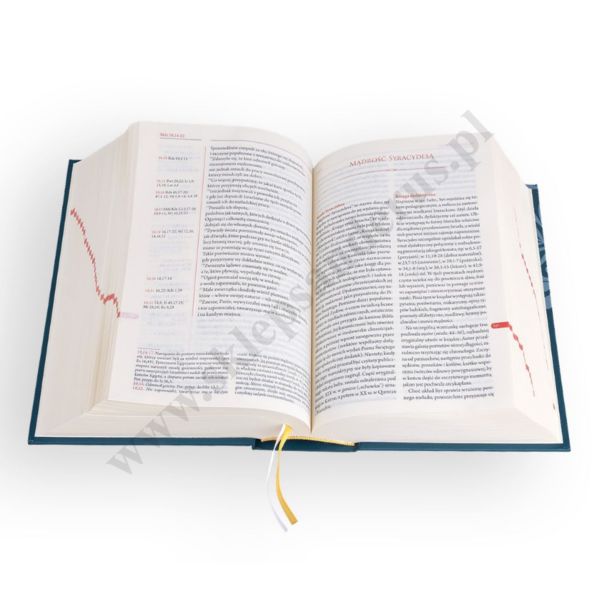 BIBLIA PLUS - Pismo Święte czytane metodą skrutacji