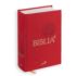 BIBLIA PLUS - Pismo Święte czytane metodą skrutacji