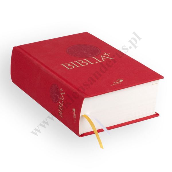 BIBLIA PLUS - Pismo Święte czytane metodą skrutacji