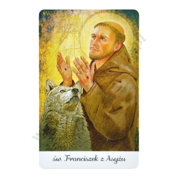 ŚWIĘTY FRANCISZEK - biznes karta - 72038
