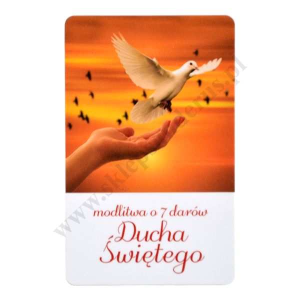 MODLITWA O 7 DARÓW DUCHA ŚWIĘTEGO - biznes karta - 65203