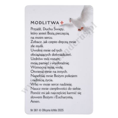 MODLITWA O UZDROWIENIE OSÓB DRĘCZONYCH ZŁYMI MYŚLAMI - biznes karta - 64723