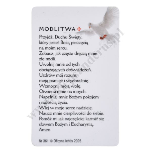 MODLITWA O UZDROWIENIE OSÓB DRĘCZONYCH ZŁYMI MYŚLAMI - biznes karta - 64723