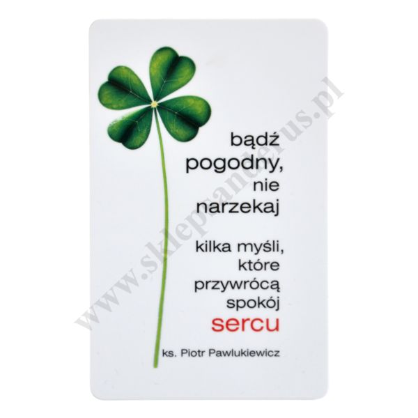 BĄDŹ POGODNY - biznes karta - 65201