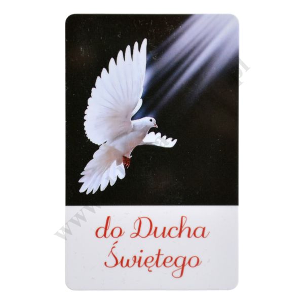 MODLITWA DO DUCHA ŚWIĘTEGO - karta biznes - 64096