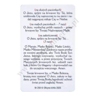 KORONKA DO KRWAWYCH ŁEZ MATKI BOŻEJ - biznes karta - 67000