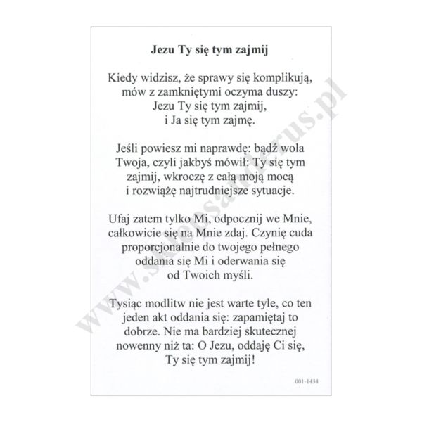 JEZU, TY SIĘ TYM ZAJMIJ - obrazek 6.5 x 10 cm - paczka 100 szt. - 30103