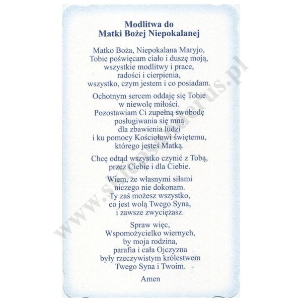 MATKA BOŻA NIEPOKALANA - obrazek 9 x 14.7 cm - POCZTÓWKA - paczka 100 szt. - 30164