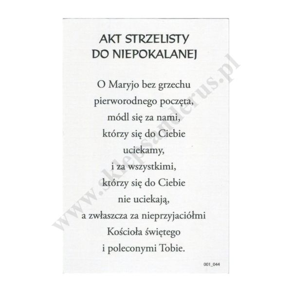 MATKA BOŻA NIEPOKALANA - obrazek 6.5 x 10 cm - paczka 100 szt. - 87219