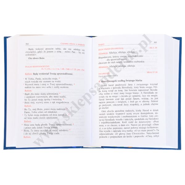 LEKCJONARZ MSZALNY - TOM 6 - FORMAT A5