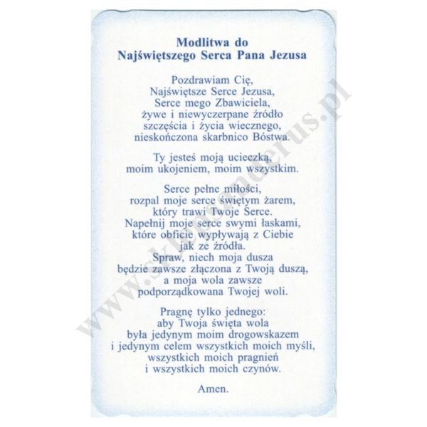 NAJŚWIĘTSZE SERCE PANA JEZUSA - obrazek 6.2 x 10.4 cm - paczka 100 szt. - 73342
