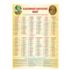 KALENDARZ JEDNOSTRONNY NA ROK 2027 - format 29.5 x 41.5 cm - 77745