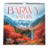 BARWY - KALENDARZ ŚCIENNY 2027 - 67508