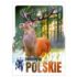 ZWIERZĘTA POLSKIE - KALENDARZ 2027 - format 240 x 335 mm - 4617