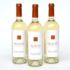 AURVIN PINOT GRIGIO - wino białe połwytrawne