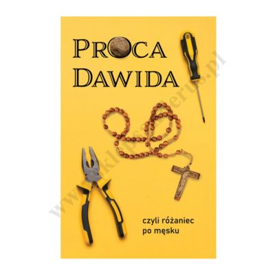 PROCA DAWIDA CZYLI RÓŻANIEC PO MĘSKU