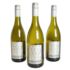 SHEEP DREAMS SAUVIGNON BLANC - wino białe wytrawne