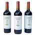 TIERRAS VIEJAS - wino czerwone wytrawne