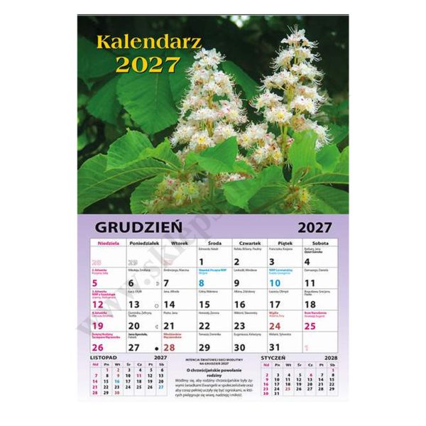 KALENDARZ ŚCIENNY ZRYWANY 2027
