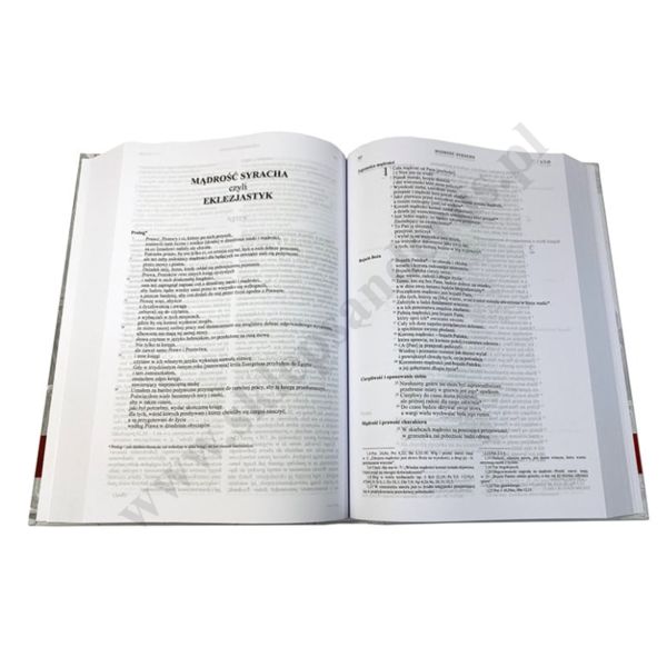 RODZINNA BIBLIA TYSIĄCLECIA