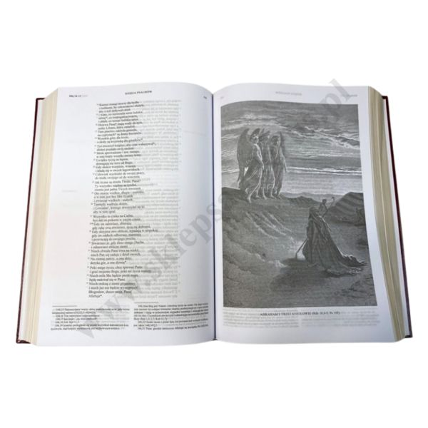 RODZINNA BIBLIA TYSIĄCLECIA