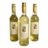 TOKAJI BODNAR FURMINT - ŚWIĘTY JAN - wino mszalne, białe, półsłodkie