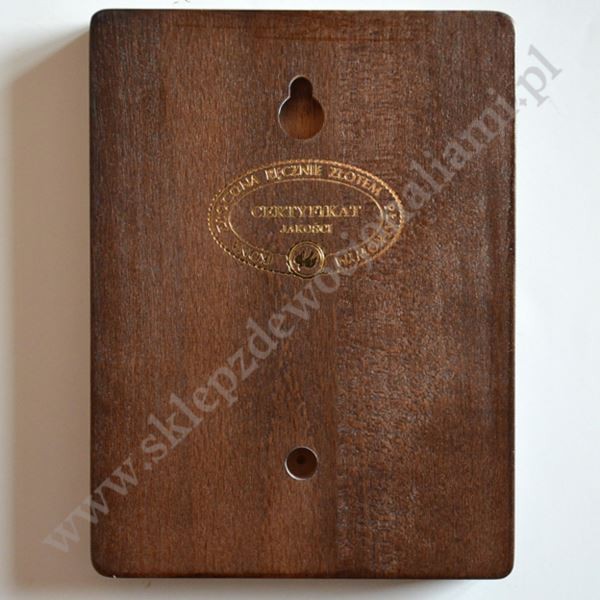 ŚWIĘTA KRYSTYNA - ikona 12 x 16 cm - 3818-B