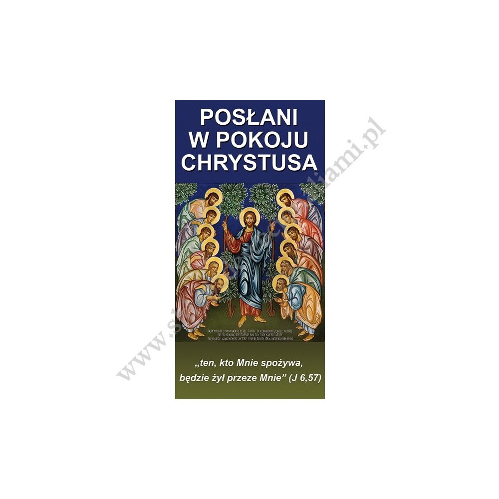 POSŁANI W POKOJU CHRYSTUSA - BANER DEKORACYJNY - WZÓR 16