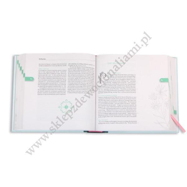 NOWY TESTAMENT I PSALMY. BIBLIA JOURNALING