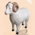 BARANEK - wys.72 cm - 280/18 - 62399