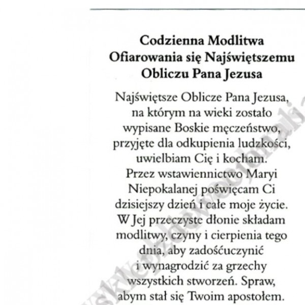 OBLICZE PANA JEZUSA Z CAŁUNU - obrazek 6.5 x 11 cm - paczka 100 szt. - 88634