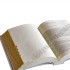 BIBLIA Z RYBKĄ - oprawa miękka z paginatorami - 89160