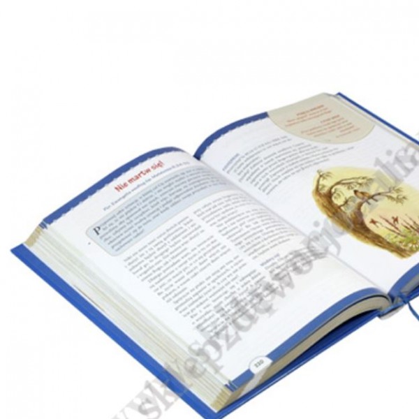 MOJA WIELKA KSIĘGA HISTORII BIBLIJNYCH MOJA WIELKA KSIĘGA HISTORII BIBLIJNYCH