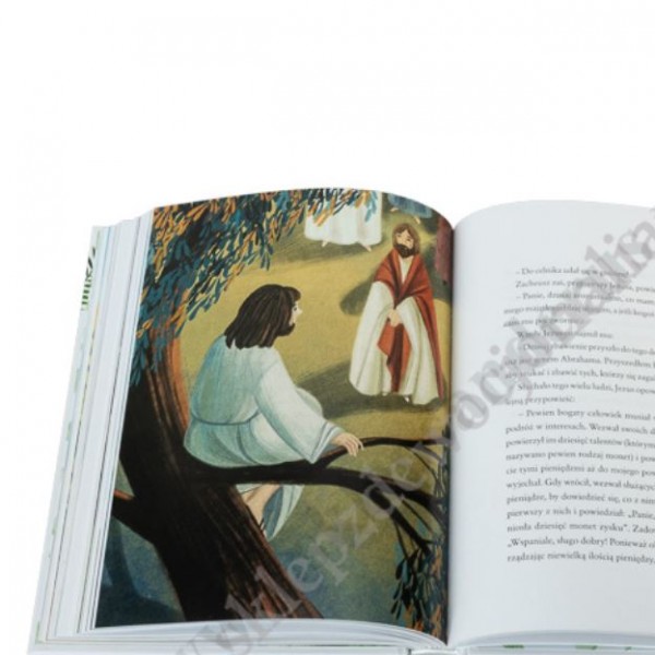 BIBLIA. DOBRA NOWINA OPOWIEDZIANA DZIECIOM