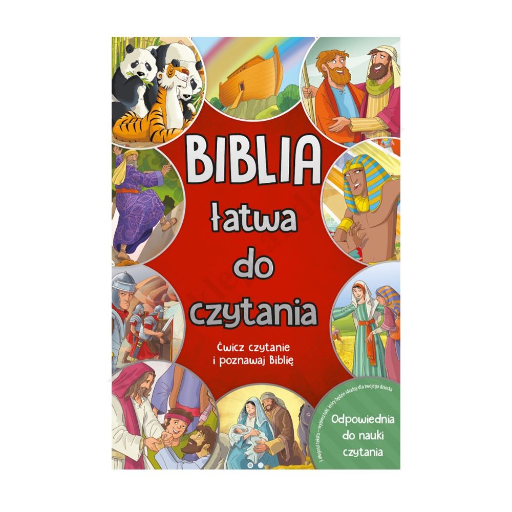 BIBLIA ŁATWA DO CZYTANIA