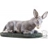 OSIOŁ - SZOPKA 85 cm - 303/14 - 64644